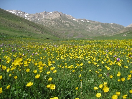 نشل تنها منطقه عشایری استان مازندران